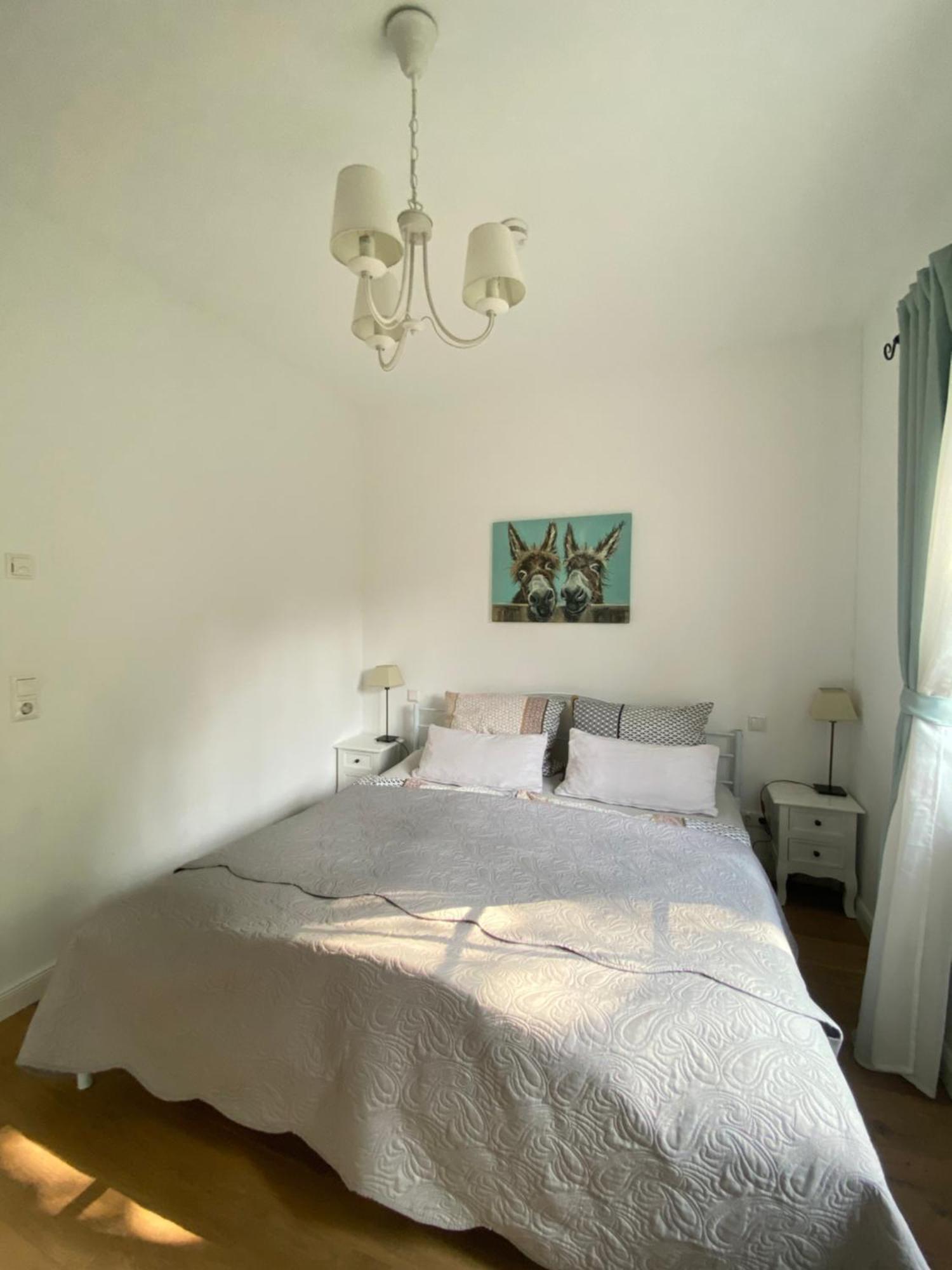 Woodhaus Apartment *